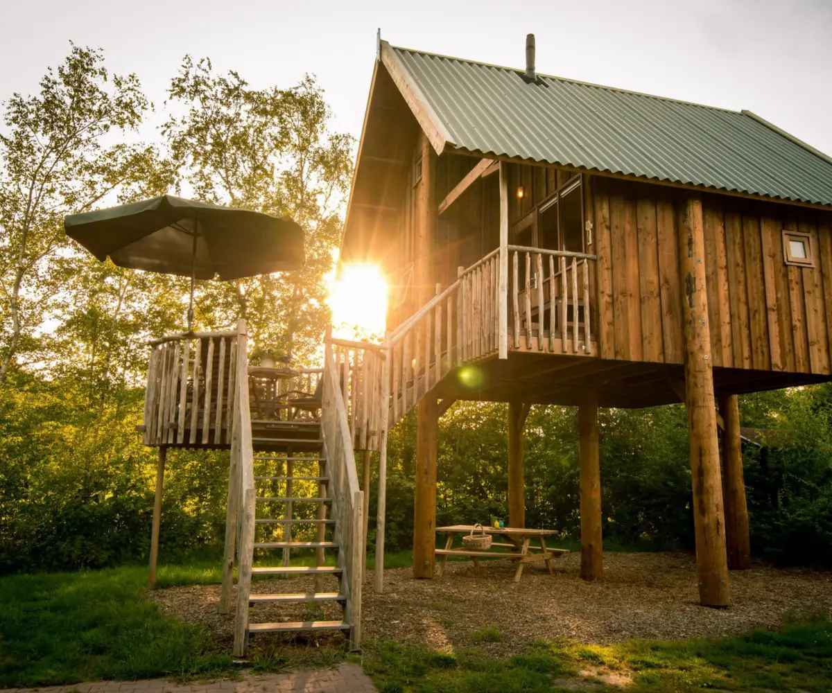 Boomhut buiten zon min